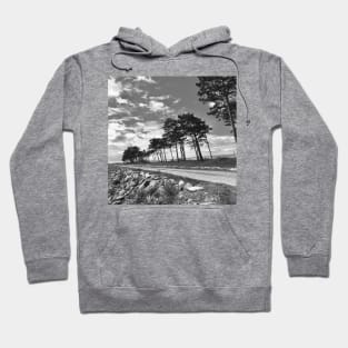 Coastal trees Hoodie